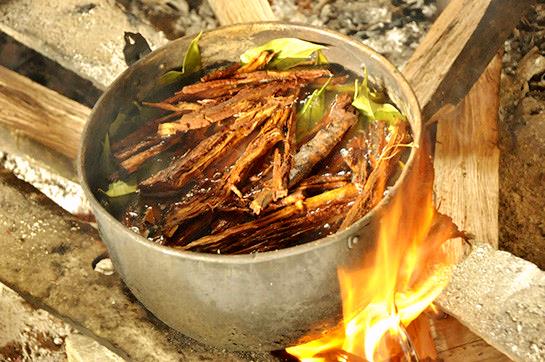 Ayahuasca Çay